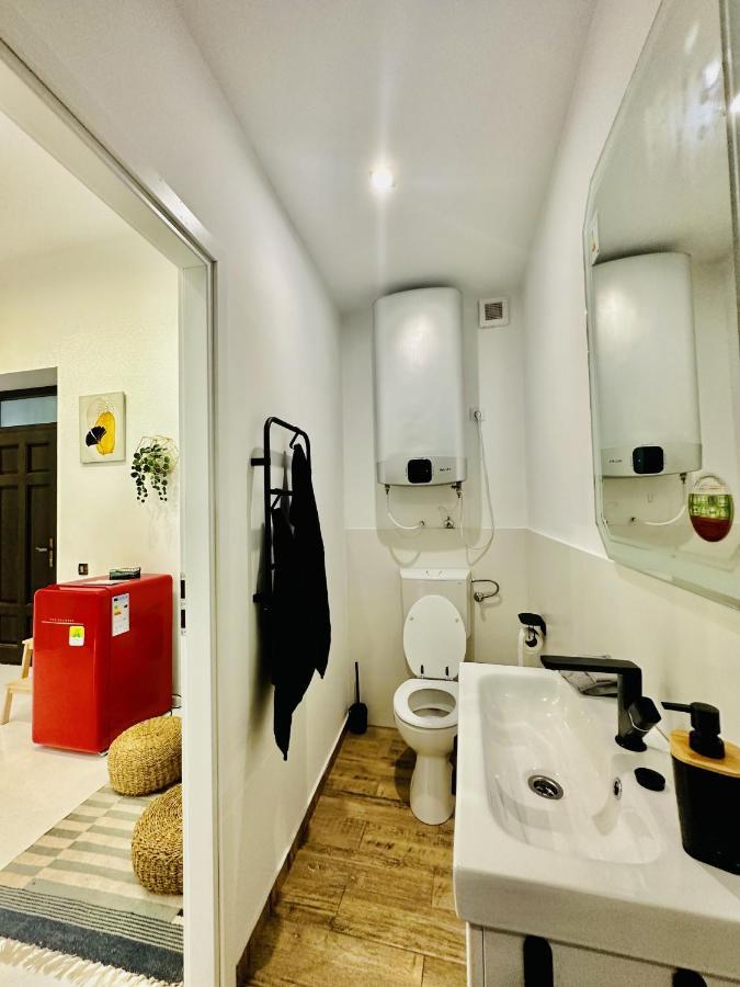 Clever Studio Near Central Shopping Center คลูจ-นาโปกา ภายนอก รูปภาพ